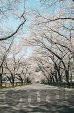 2021国产麻豆剧传媒网站-透视2021年国产麻豆剧的传媒网站新生态