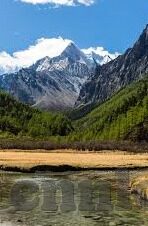 caoporn成人免费视频-探索成人内容与网络伦理的边界，理性视角下的网络使用