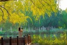 果冻传媒免费直播-探索果冻传媒免费直播的魅力与影响