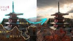 含羞草麻豆传媒-探秘含羞草的奇妙世界——与麻豆传媒的偶然交集