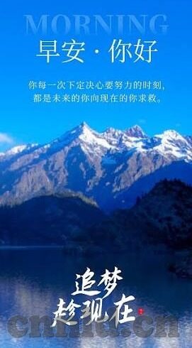日韩精品人妻一区二区中文-日韩文化中的精品人妻现象，一种独特的文化视角